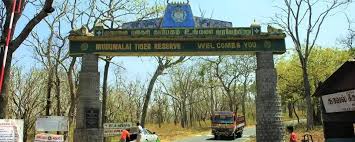 Mudumalai National Park